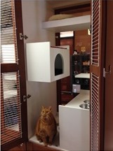 cat clinic boarding